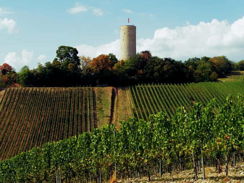 Sip Wine Along the Rhine - Grape Day out from Frankfurt - Who Will Love This Tour?