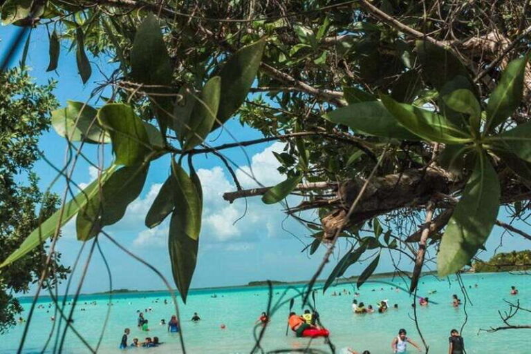 Sisal Kayak Through Mangroves and Bird Watching Tour - Detailed Breakdown of the Itinerary