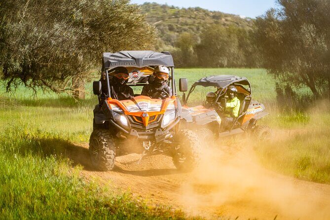 Small-Group Buggy Riding Safari in Algarve - The Experience: Mud, Fun, and Learning