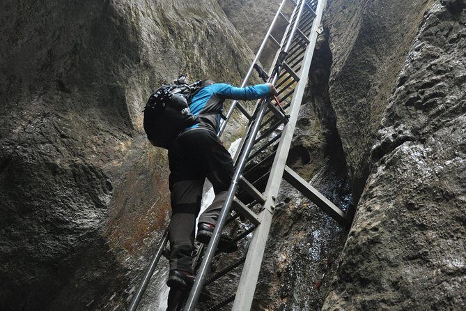 Small-Group Day Trip to the Epic 7 Ladders Canyon from Brasov - Small-Group Day Trip to the Epic 7 Ladders Canyon from Brasov