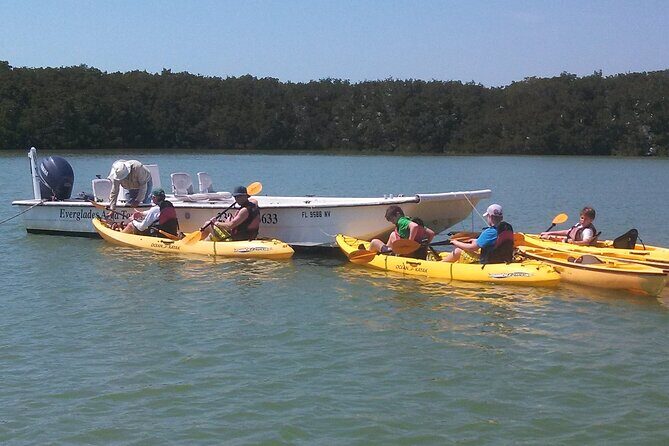 Small-Group Everglades Boating Kayaking and Walking Eco Tour - Second Stop: Kayaking in Peaceful Waters