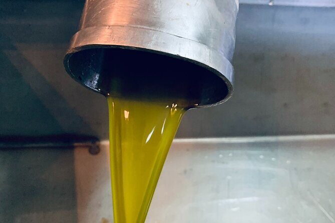 Small-Group Honey & Extra Virgin Olive Oil Tasting Tour in Crete - A Deep Dive into the Itinerary
