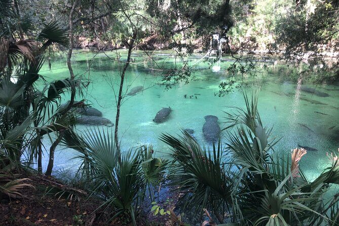Small Group Manatee Discovery Kayak Tour near Orlando - Who Will Love This Tour?