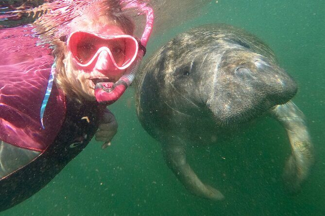 Small Group Manatee Snorkel Tour with In-Water Guide and Photographer - The Experiences Value