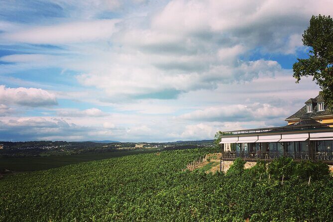 Small Group Rheingau Vineyards Tour with Castles and Abbeys - Why This Tour Offers Excellent Value