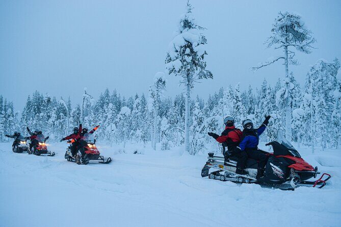 Small-Group Snowmobile Experience in Rovaniemi - Who Will Love This Tour?