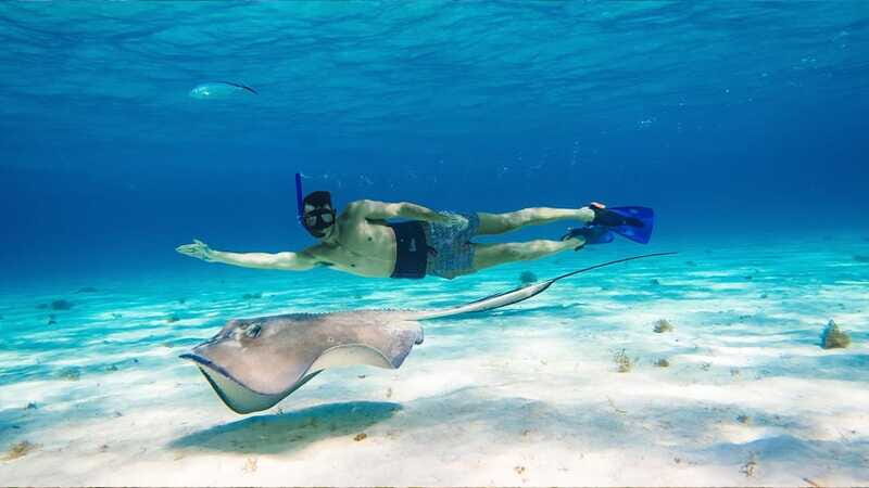Snorkel: Explore reefs in Cozumel, El Cielo, Palancar and more + Lunch - A Nearly Perfect Snorkeling Day in Cozumel