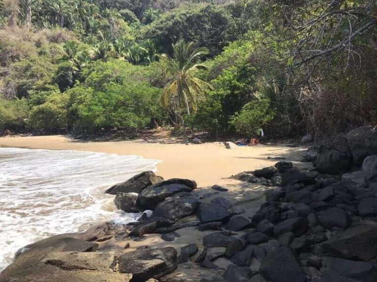 Snorkel to Playa del Toro departing from Sayulita : day at the beach - Why This Snorkeling Tour Stands Out