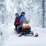 Snowmobile Tour with Small Group in Remote Wilderness 3 Hours - Scenic Stops and Highlights