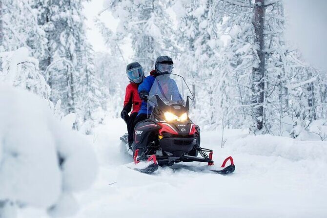 Snowmobile Tour with Small Group in Remote Wilderness 3 Hours - Scenic Stops and Highlights