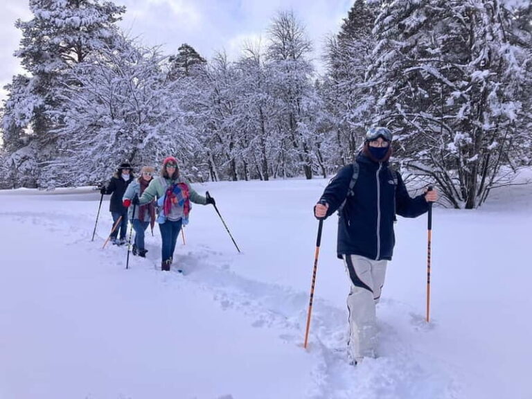 Snowshoeing in Bakuriani, Caucasus Mountains - What to Expect During the Tour