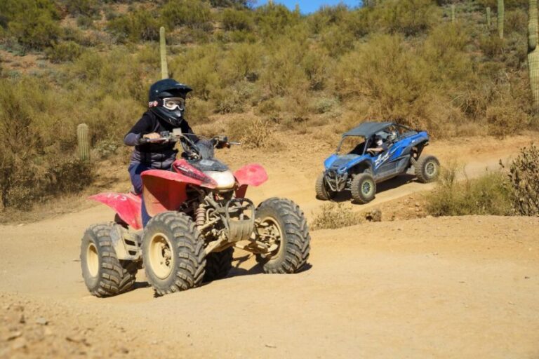 Sonoran Desert: Guided UTV or ATV Desert Tour - Authentic Reviews That Highlight the Experience