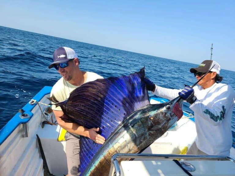 Sport fishing in mazatlan - Is This Tour Worth the Price?