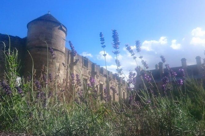 St Andrews, Falkland and Fife Villages Tour from Edinburgh - Potential limitations and considerations