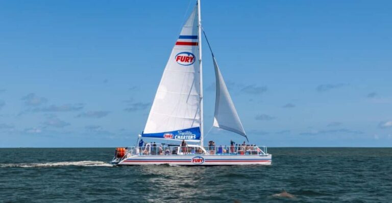 St. Augustine: Dolphin Watching Harbor Tour with Drinks - Who Will Love This Tour?