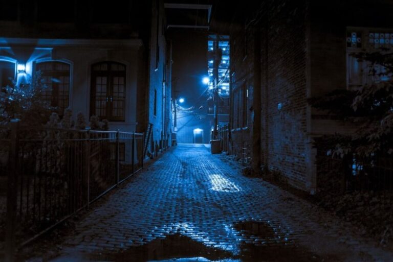 St. Augustine: Haunted Pub Crawl Walking Tour with a Guide - Who Will Love This Tour?