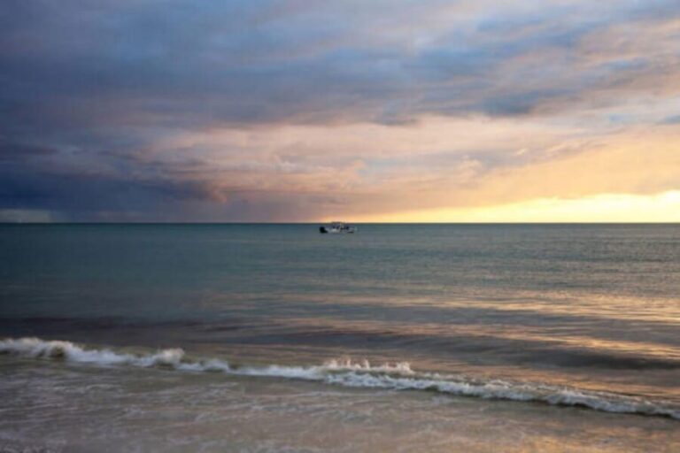 St Petersburg: In-Shore Fishing Charter - Who Should Consider This Tour?