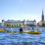 Stockholm City Kayak Tour - What Makes the Stockholm City Kayak Tour Special?