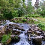 Stockholm: Sunset Hike in Tyresta National Park with Meal - Food and Cultural Experience