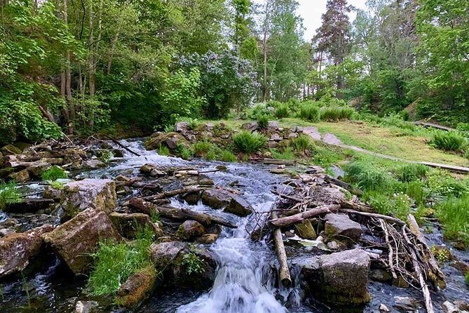 Stockholm: Sunset Hike in Tyresta National Park with Meal - Food and Cultural Experience