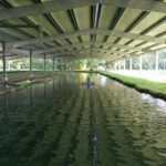 Sturgeon Fish-Farm Visit and Caviar Discovery Tasting in Neuvic - Who Will Love This Tour?