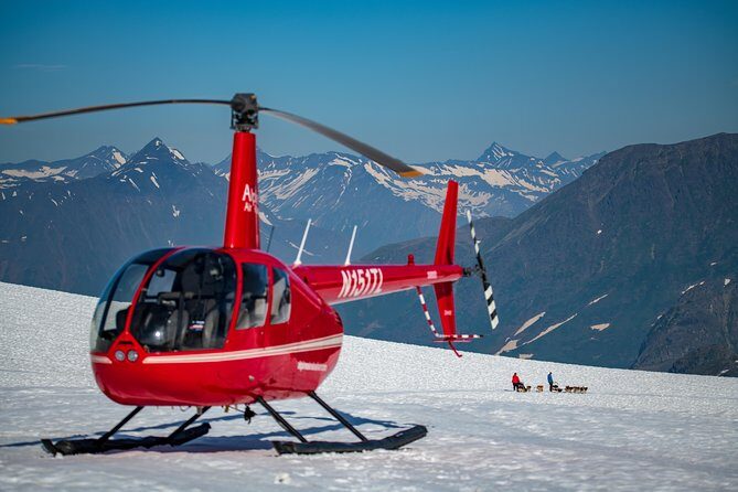 Summer Glacier Dogsledding Tour from Girdwood - What Travelers Love Most