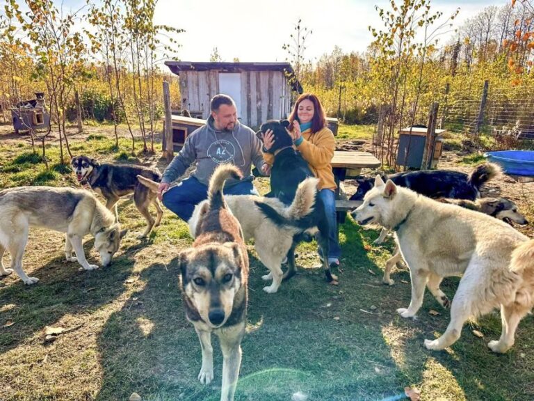 Summer Sled Dog Kennel Tour - The Kennel Tour Experience