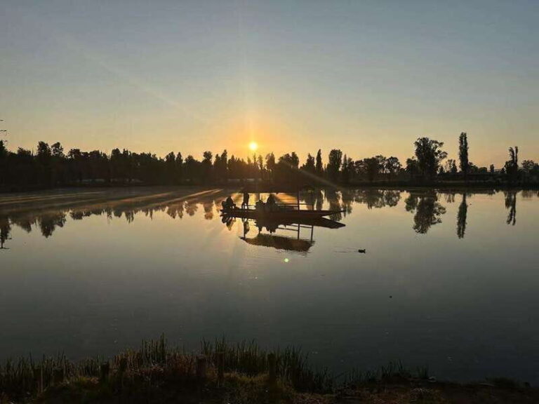 Sunrise in Xochimilco - Who Will Love This Experience?