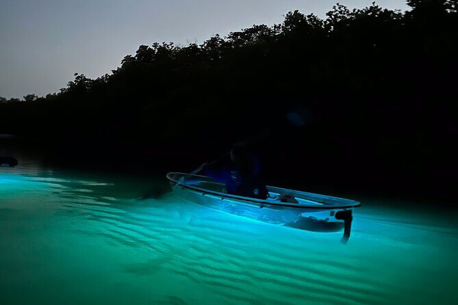 Sunset and Glow Clear Kayak Tour in North Naples - The Practical Side: Equipment, Group Size, and Comfort