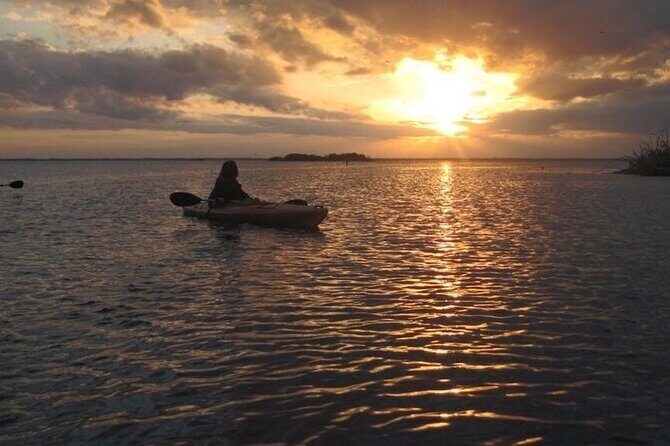 Sunset Bioluminescence Tour - The Practicalities and Considerations