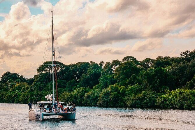 Sunset Catamaran Sail in Cocoa Beach - The Value of This Experience