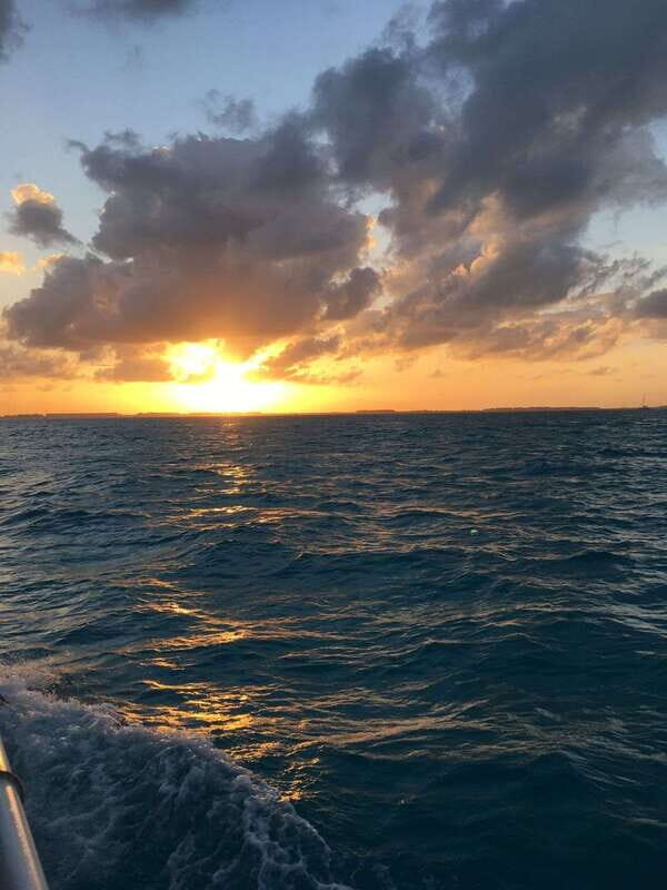 Sunset Catamaran to Isla Mujeres with Cancun Pickup - The Sum Up