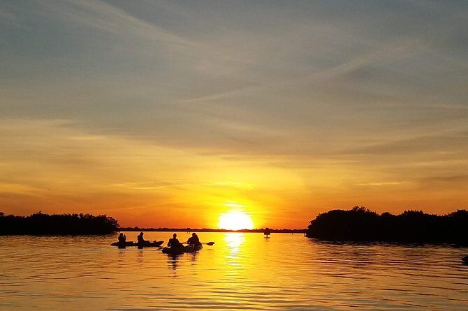 Sunset Tour Mangrove, Dolphins, Manatee #1 Rated in Cocoa Beach - Why This Tour Offers Great Value