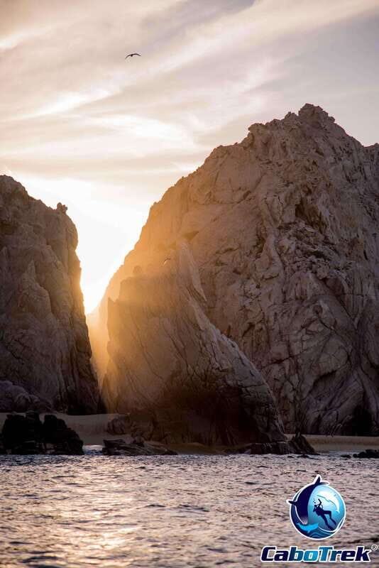 Sunset Whale Watching Cruise in Cabo San Lucas - Why This Tour Offers Great Value