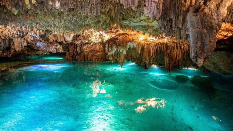 Swim in Cenote, Snorkel With Sea Turtles and Beach Club. - The Practicalities: What You Need to Know