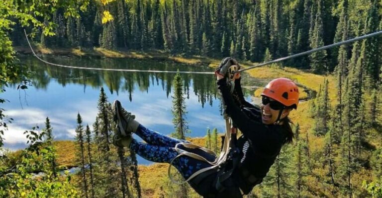 Talkeetna: Denali Zipline Tours - What You Need to Know Before You Go
