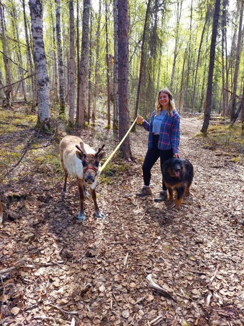 Talkeetna: The Reindeer Grove Homestead Tour and Forage - Practical Details and Value