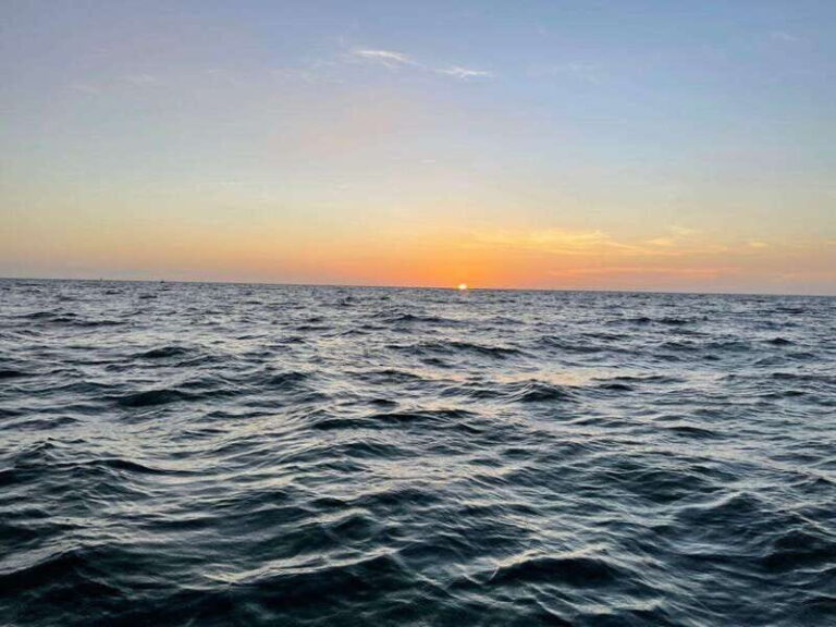 Tampa Bay: Sunset Cruise with Celebrity Homes and Wildlife - Who Should Consider This Tour?