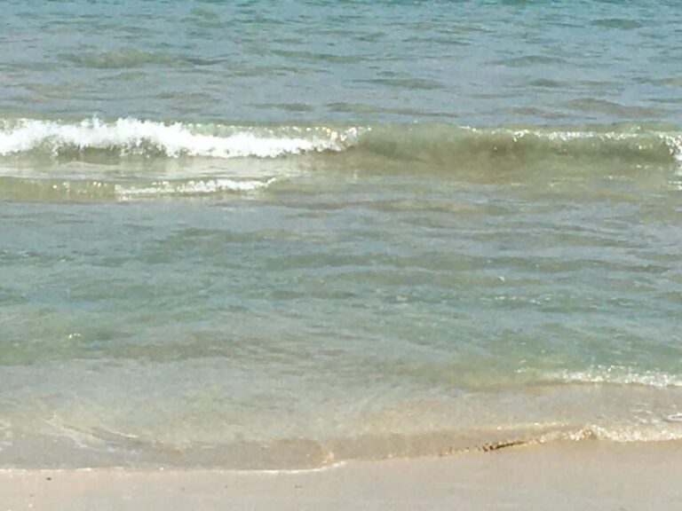 Tanoa Waterfront Hotel to Natadola Beach Round Trip - Who Will Love This Tour?