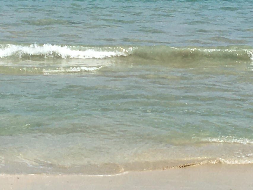 Tanoa Waterfront Hotel to Natadola Beach Round Trip - Who Will Love This Tour?