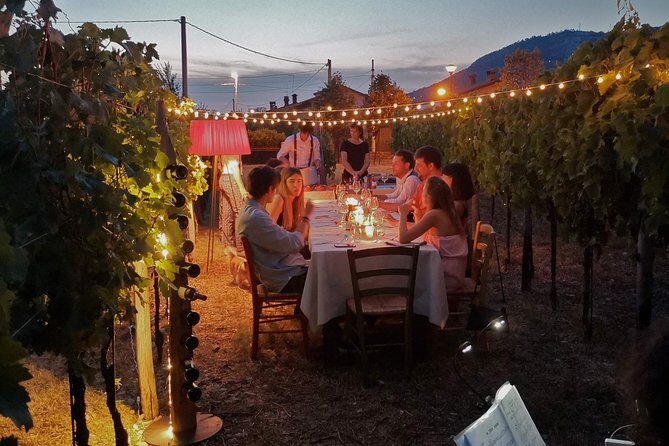 Tasting in a Tuscan Vineyard with transfer from Lucca - Practical Details to Know Before You Book