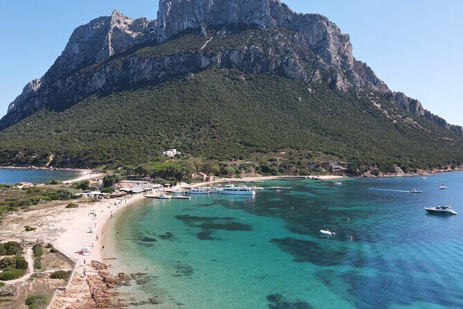 Tavolara excursion - Authentic Experiences and Insights from Past Travelers