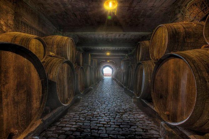 Tenerife Bodegas Monje Winery Tour with Wine and Cheese Tasting - Who Would Love This Experience?