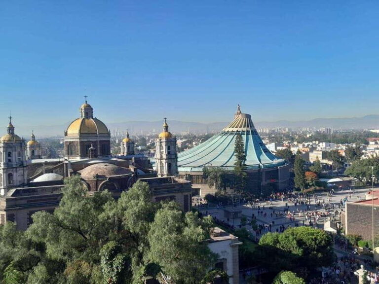 Teotihuacan & Basilica of Guadalupe: Private Tour with Lunch - What’s Included & Whats Not
