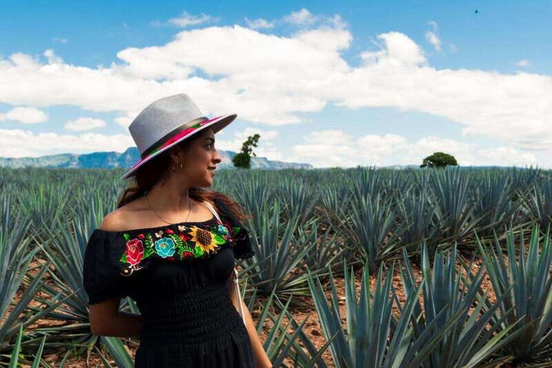 Tequila Full-Day Discovery Tour of Amatitan - Who Will Love This Tour?