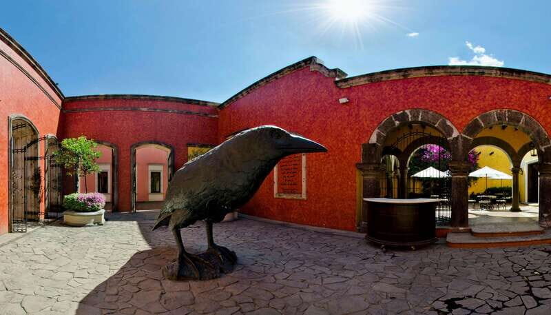 Tequila, Jalisco, and Toriles from Puerto Vallarta - What’s Not Included and Tips for Enjoyment