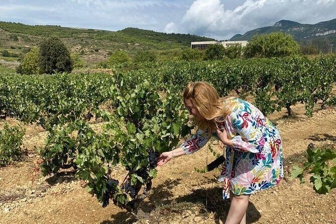 The Authentic Rioja Alavesa wine experiences - Price and Value Analysis