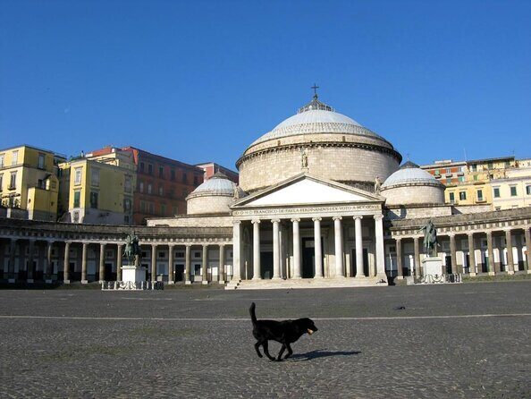 The Origins Of Naples. Unique private tour of the monumental area - Final Thoughts: Who Will Love This Tour?