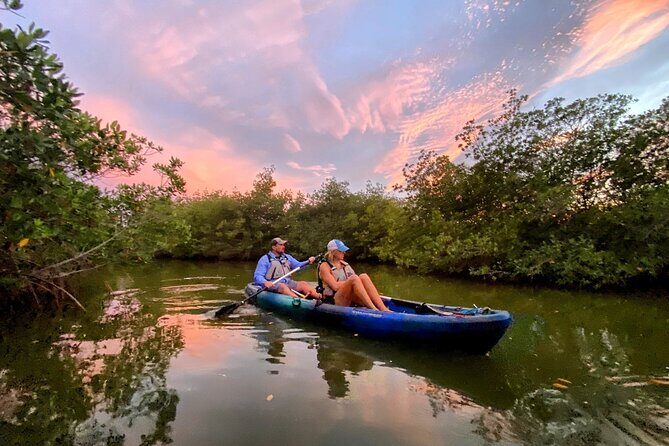 Thousand Islands Mangrove Tunnel & Bio Comb Jelly Sunset Tour - The Experience in Detail
