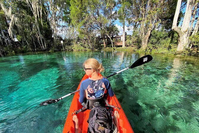 Three Sisters Springs Kayak And Swim Eco-Tour Crystal River - What Makes This Tour Stand Out?